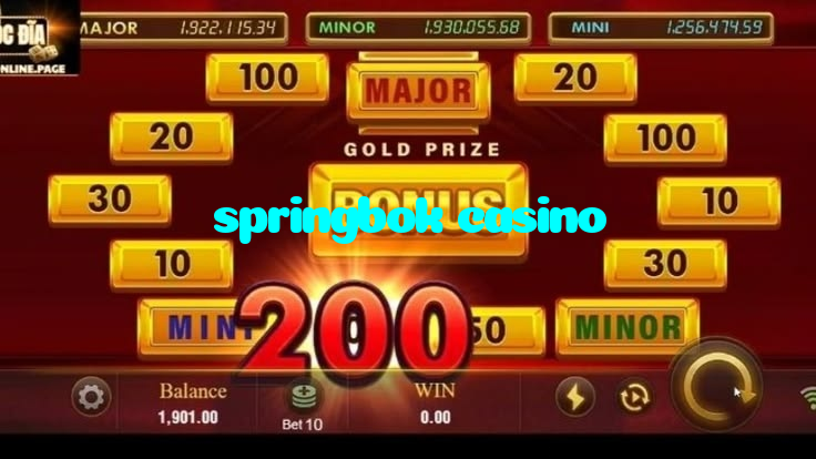 springbok casino